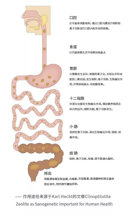 國(guó)投盛世與德國(guó)沸石納米高科技企業(yè)DMT公司達(dá)成合作意向-國(guó)投盛世