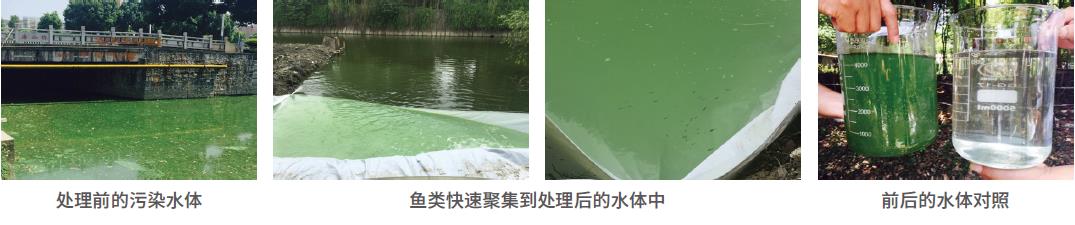 污水處理劑-國投盛世