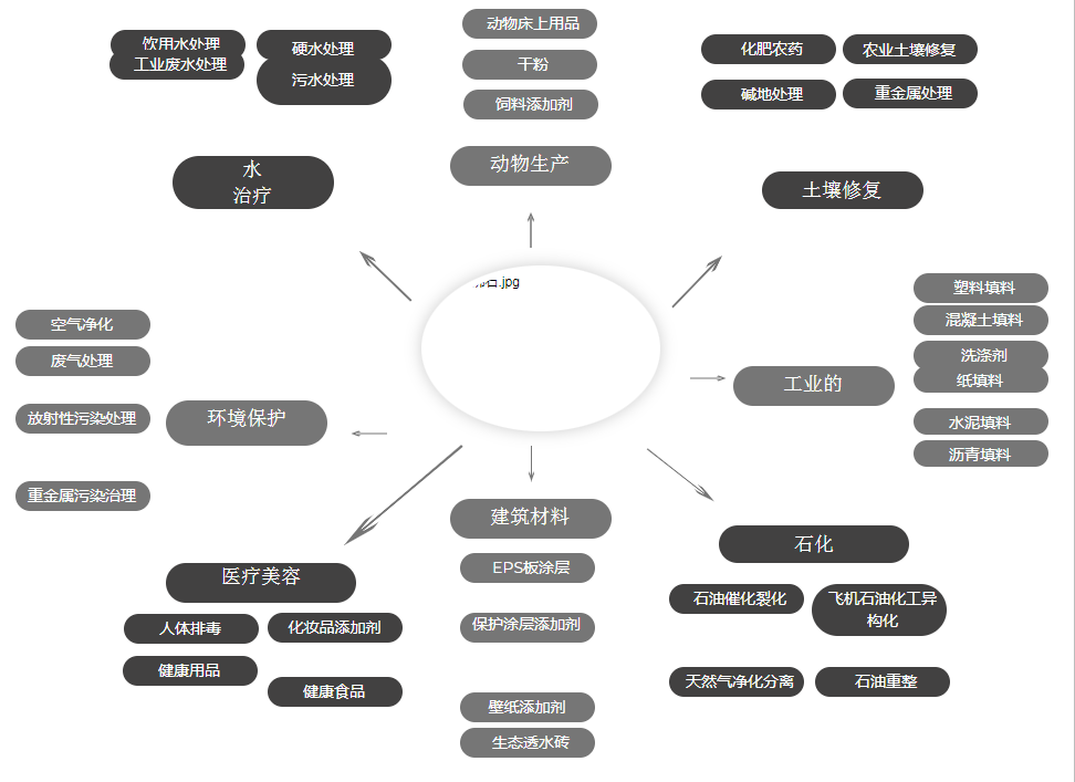 斜發沸石及應用-國投盛世