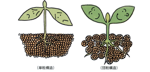 沸石如何應(yīng)用于土壤改良領(lǐng)域？