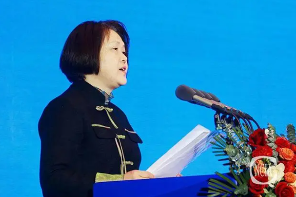 國投盛世董事長劉嚴蓬作為協會監事長受邀參加2023中國國際涂料大會!-國投盛世