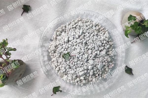 沸石為何能吸附控制垃圾填埋場(chǎng)的甲烷？