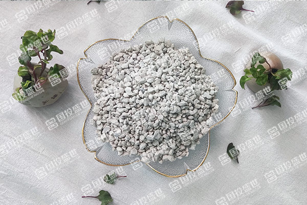沸石顆粒在全球市場的應(yīng)用