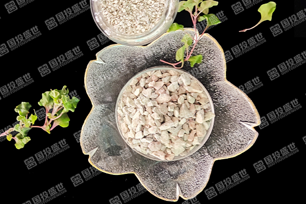 沸石能否提升蔬菜種植效果？-國投盛世