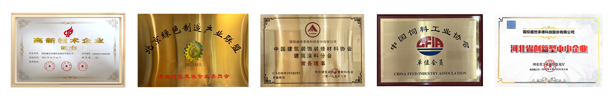 資質(zhì)榮譽-國投盛世