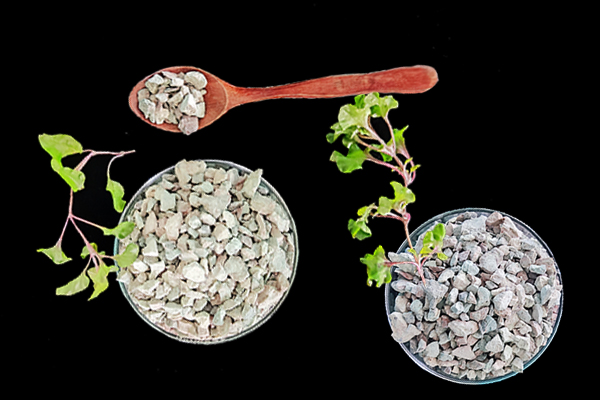 天然沸石對(duì)養(yǎng)貓家庭有哪些好處？