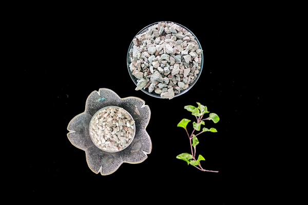 天然沸石對花生種植有何影響？