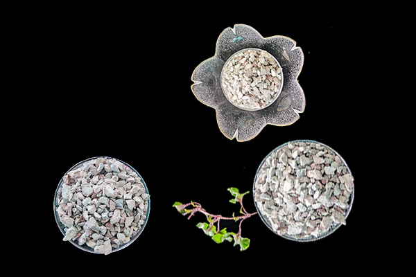 萵苣種植時(shí)添加沸石能提升產(chǎn)量嗎？